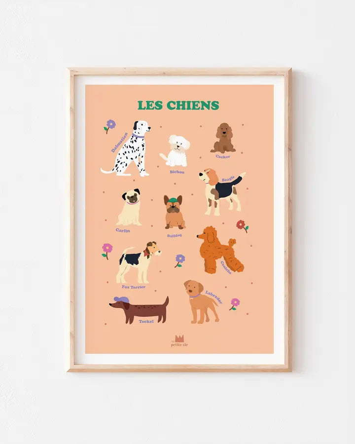 Affiche chiens