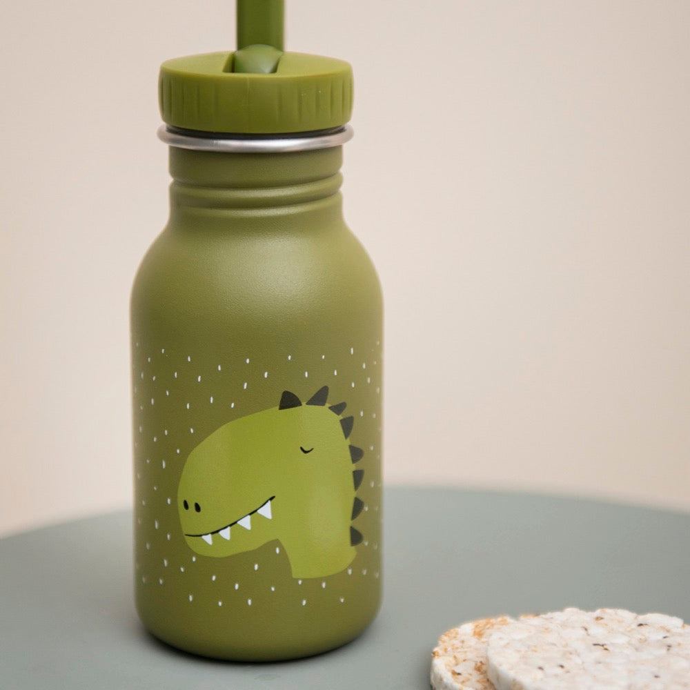 Gourde 350ml "DINO"