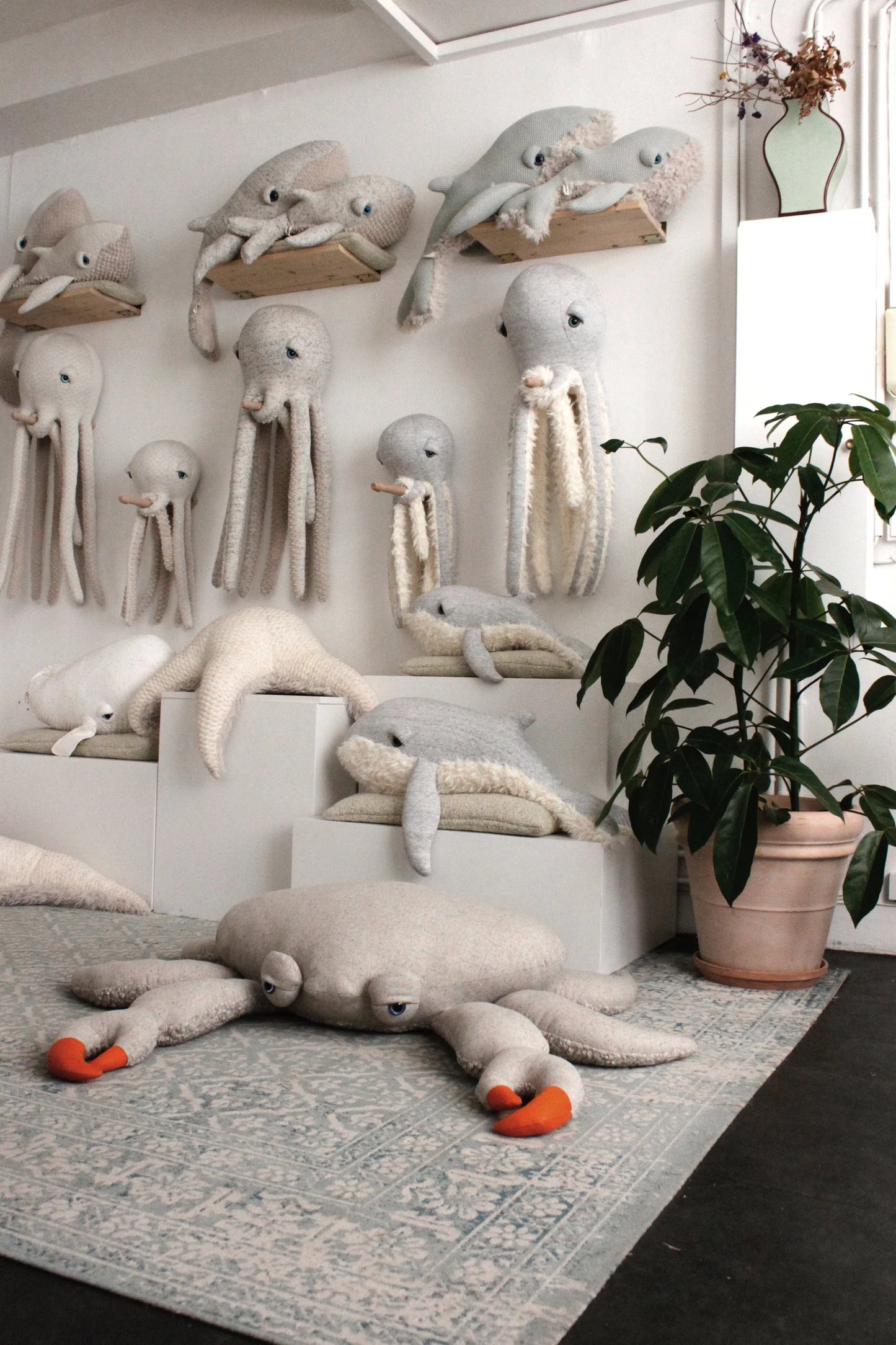 Crabe XXL (UNIQUEMENT EN CLICK & COLLECT)
