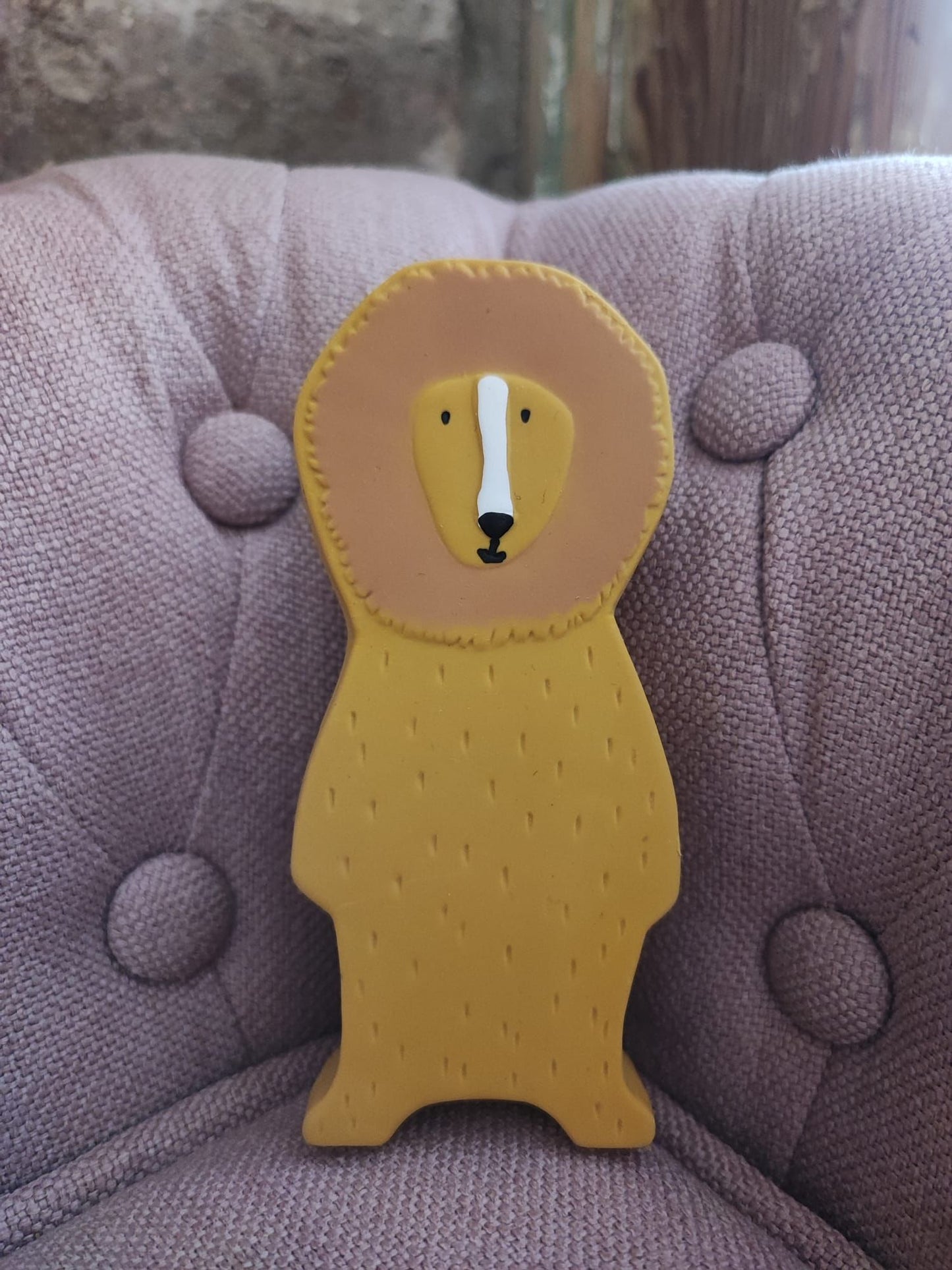 Jouet caoutchouc Mr lion
