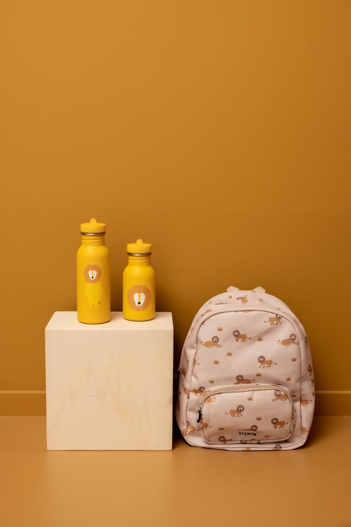 Gourde 500ml - Mr. Lion