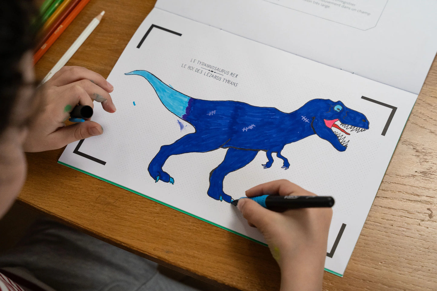 Cahier de dessins animés - LES DINOSAURES