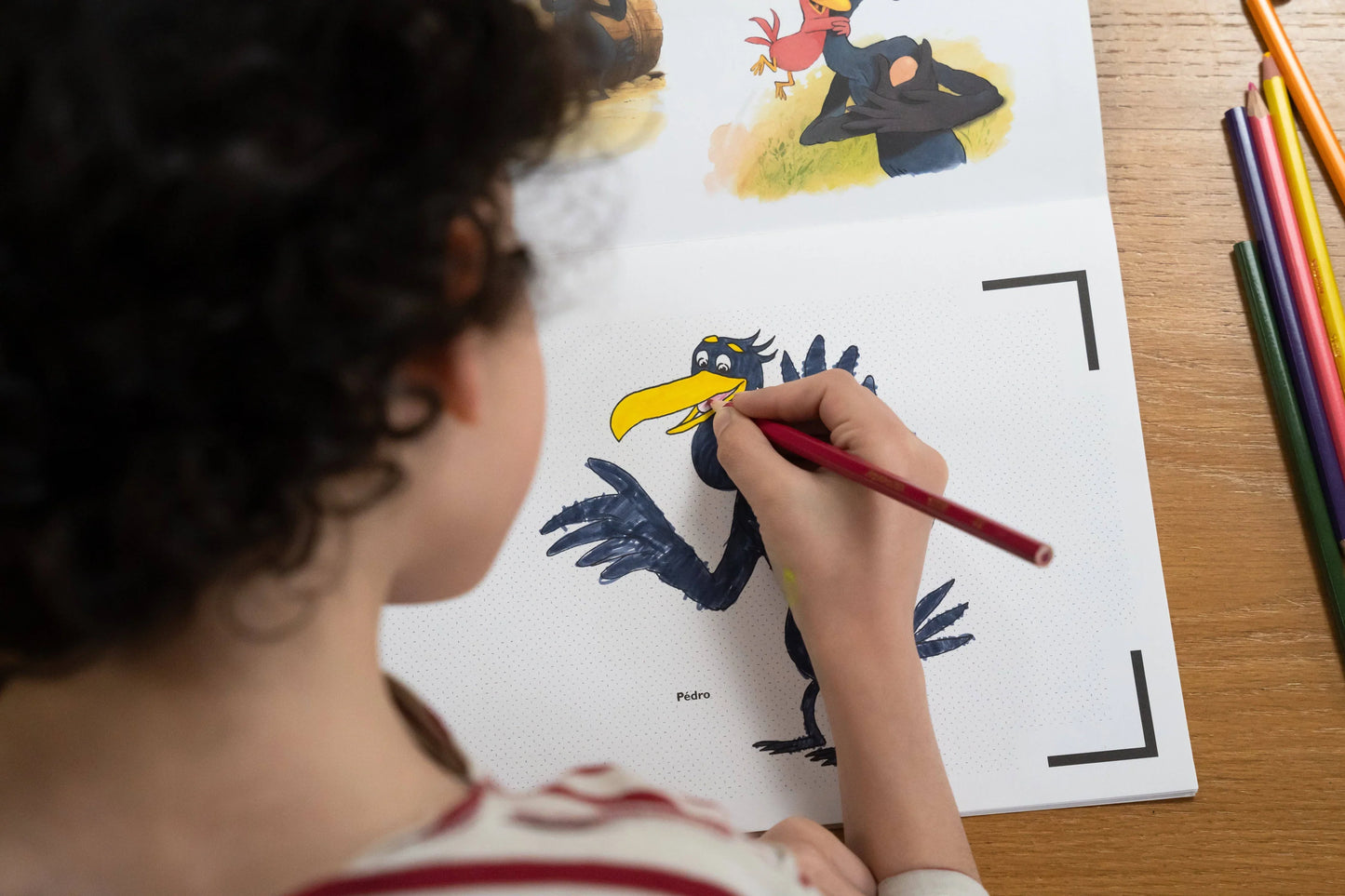 Cahier de dessins animés - LES PTITES POULES